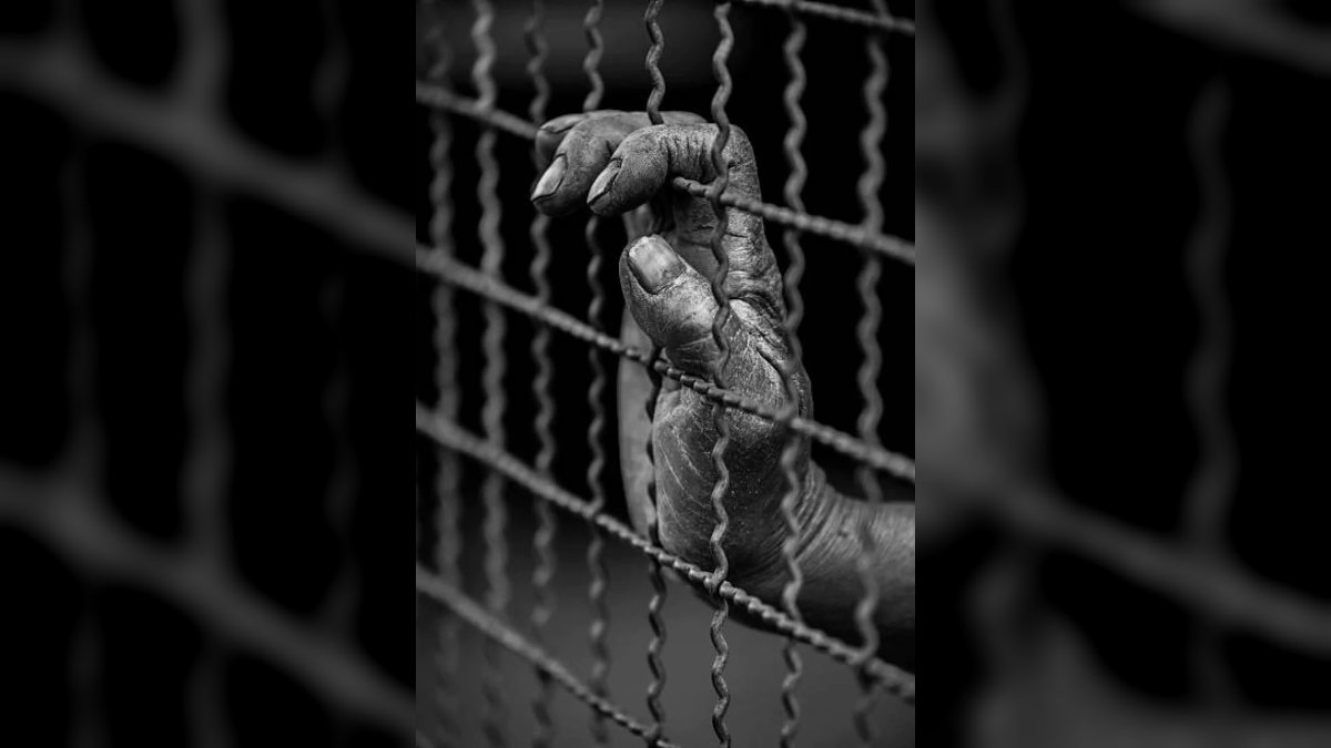 Україна за допомогою OSINT підтвердила перебування в полоні понад 2,5 тисяч військових