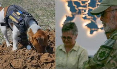 Чергові нагороди не забарилися
