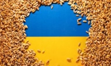 Зерновий прорив? Завтра Україна і Росія мають підписати договір