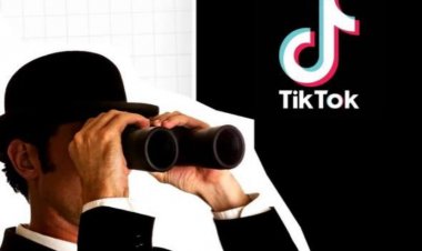 Український Tik Tok перевели з "російського" регіону до "європейського"