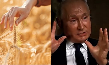 Чи вияляться зернові домовленості фатальними для Києва?