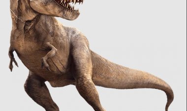 Нове дослідження T.Rex.