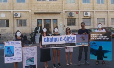 This morning Animal Liberation Malta presented an open letter to the Director of the Veterinary Regulations Directorate Dr Paul Portelli.