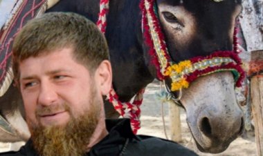 Кадиров закусив вудила. Вйо!