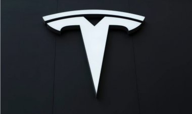 Tesla призупиняє розгортання програмного забезпечення для керування автомобілем.