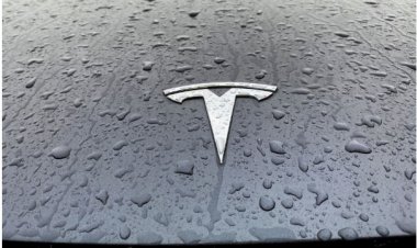 Tesla готує оновлену модель Y під кодовою назвою Juniper.