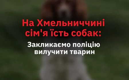 На Хмельниччині сім’я вбиває та їсть собак: UAnimals вимагають дій від поліції