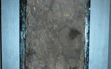 A soil profile showing a thick dark layer of chernozem above lighter subsoil.