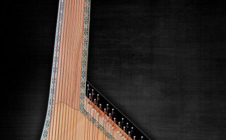 A traditional Ukrainian bandura with its many strings.
